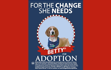 Michigan Humane Advertisement